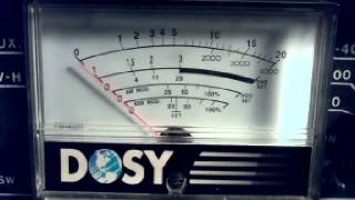 Funky Monkey, Scorpio Lady, Hard Head, Bigfoot, 9lbs of Steel, Rip Off, John Wayne, 202