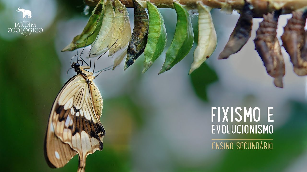 Fixismo e Evolucionismo - Ensino Secundário | Jardim Zoológico