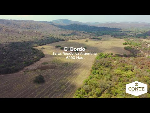 Conte Bienes Raices - El Bordo 6190 Has