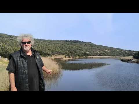 Discover Aire Heritage River with Walk91 on the Great Ocean Walk!