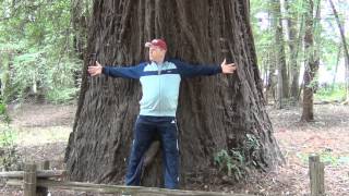 США 418: Город Felton (Santa Cruz Mountains) и его окрестности. Секвойям тут хорошо. Людям тоже.