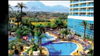 Hotel Flamingo Oasis