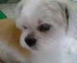 Blinking Baby