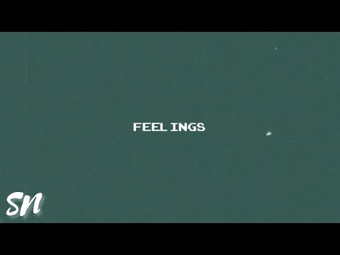 Sarah Nathalié - feelings (lyric video)