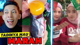 Download lagu tapi gak jadi lah mp3 Download lagu tapi gak jadi lah mp3