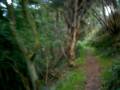 New marske downhill track 