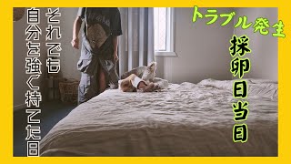 海外高齢不妊治療　 -採卵日-