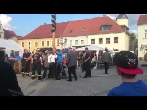 Maibaumstellen radeburg 2015