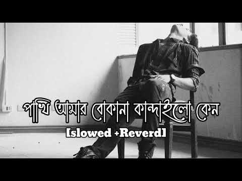 Boka pakhi ।।বোকা পাখি আপন চিনলি না ।। Atif Ahmed Niloy।। Bengali sad lofi mix song।।Slowed & Reverb