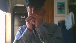 Bb Country Blues Harmonica sounds