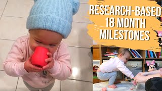 18 MONTH TODDLER DEVELOPMENT MILESTONES | Using Ages and Stages(ASQ3) to Measure Growth & Activities