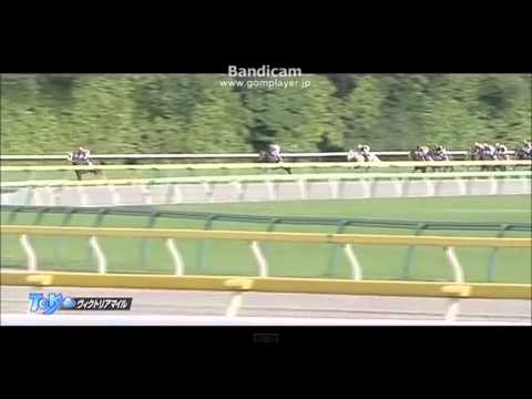 【競馬】ヴィクトリアマイル・ストレートガール本命的中！内枠攻め馬券　第31話