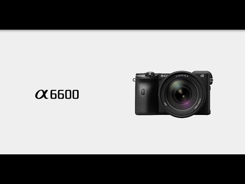 SONY Alpha ILCE-6600M APS-C Mirrorless Camera with 18-135 mm Zoom