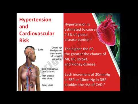 Hyper 2019: Updates on  Hypertension (13 Feb 2019)