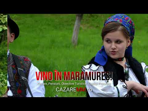 Pensiune Piscina Maramures, Barsana Cazare, Teleptean Maramures