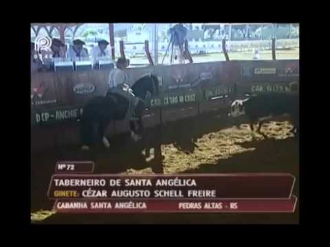 Aberta Brasília – 4° lugar machos – Taberneiro de Santa Angélica