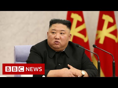 北朝鮮が弾道ミサイル2発を日本海に向けて発射 - BBCニュース (North Korea fires two ballistic missiles into Sea of Japan - BBC News)