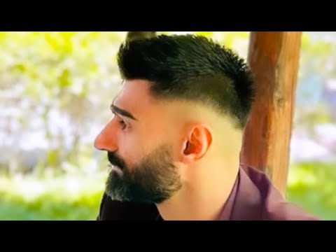 Aurel Jaupi - Hajde pranë