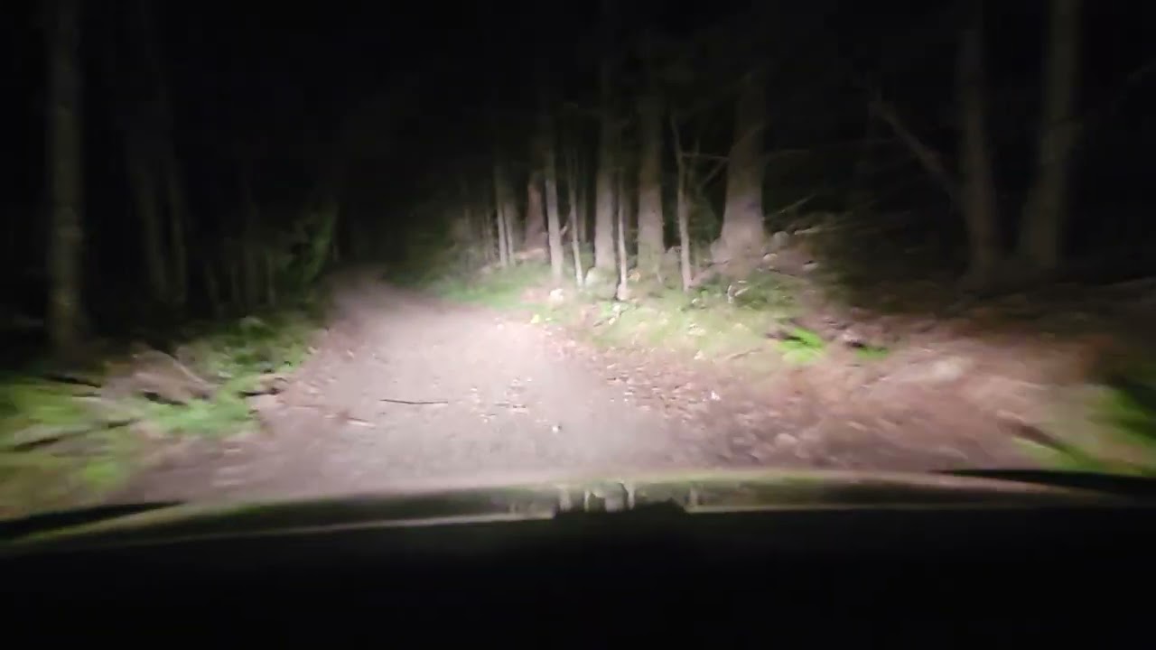 Backroads at night