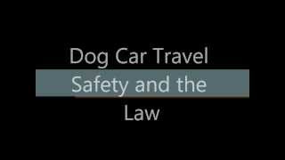 Dog Car Travel Safety and the Law