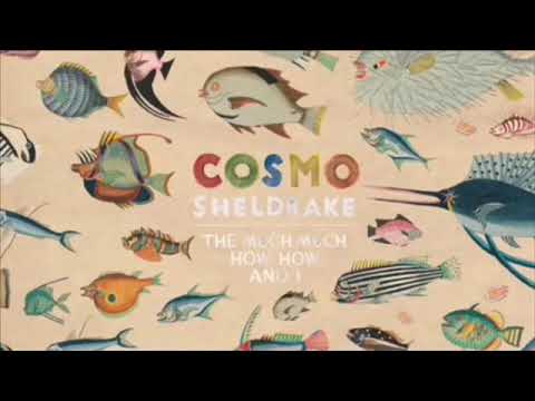 The Moss - Cosmo - 1 hour