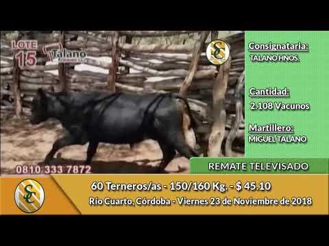 23-11-18 - Remate Televisado de TALANO HNOS. - Río Cuarto, Córdoba
