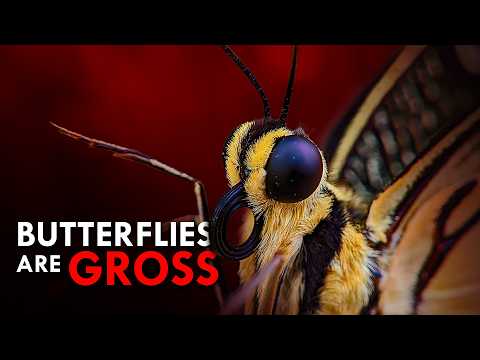 Butterflies Aren't What You Think They Are