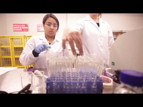 FACULTAD DE INGENIERÍA PUCV