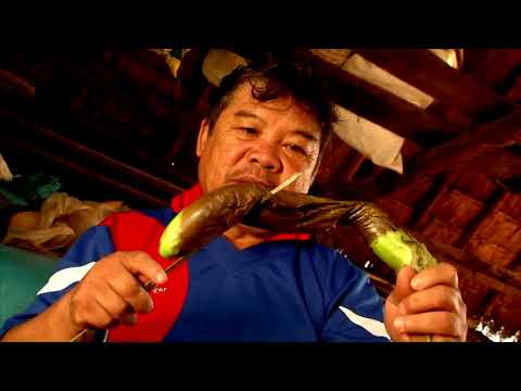 Beer! Phooj Ywg Koom Siab 2