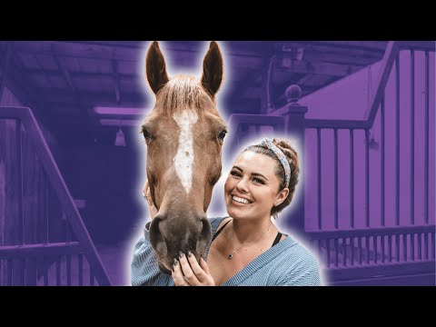 All my pregnant horses in one video - Officially nearing foaling season!