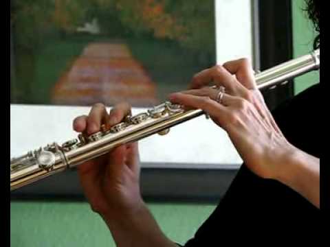Yamaha 261 Used Flute - Sound Demo