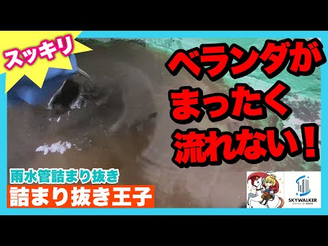 雨が降った後はプールを掃除したほうがいいですか?全てをご説明させていただきます！  庭園