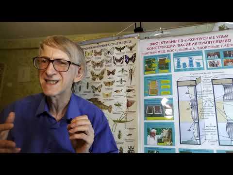 Вирусы в Пчеловодстве. Віруси в бджільництві. Viruses of Honeybees. Новости Науки. Часть-1.