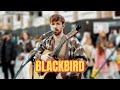 This Guy Sings Blackbird Like You Ve NEVER Heard Before The Beatles Blackbird