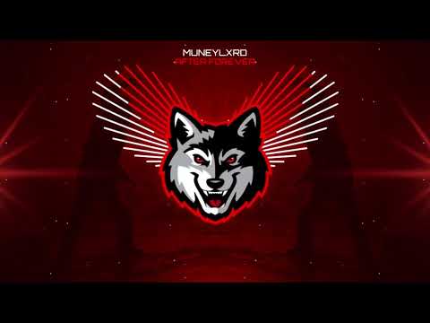 MUNEYLXRD - AFTER FOREVER