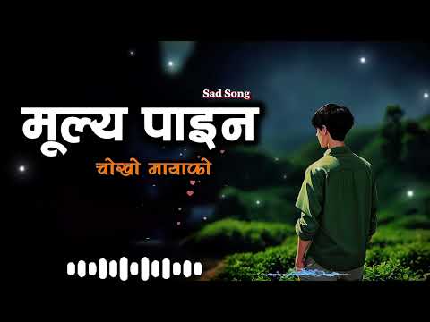 Timro Manma (तिम्रो मनमा) 💔 New Nepali Heart Touching Sad Song 2026 | Feel Music Nepal