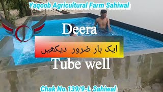 preview picture of video 'Deera & Tube well of Ch Jahanzaib. (Yaqoob Agri Farm)'