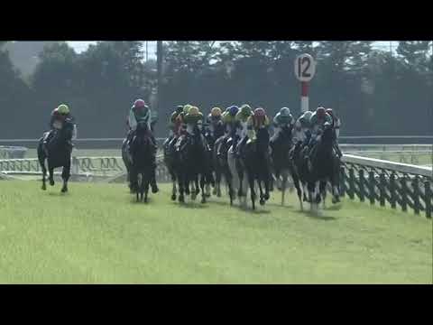 2021.05.23 Yushun Himba (Japanese Oaks) - Uberleben