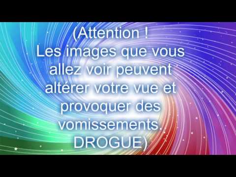 La Chanson Des Licornes Lyrics