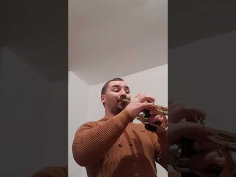 Gama Fa# Major pentru trompetă/clarinet, avansați.