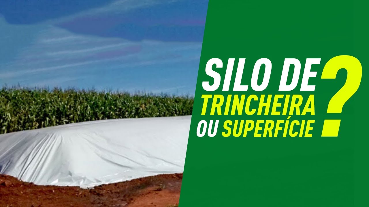 Qual silo é melhor. Silo  de trincheira ou Silo de superfície?
