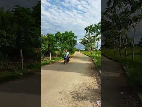 Pinillos Bolivar Colombia 1010