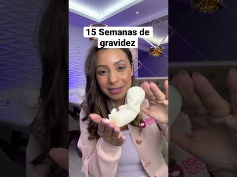 15 Weeks Pregnant - Life-Size Fetus Model