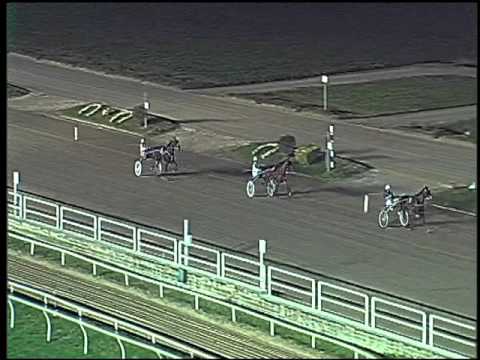 Trotto 22/11/2015 - prova di qualifica