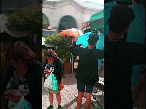 Proyecto Cruces de Andrés de Vera #22 - Pérez Castellano, Piedras y Yacaré