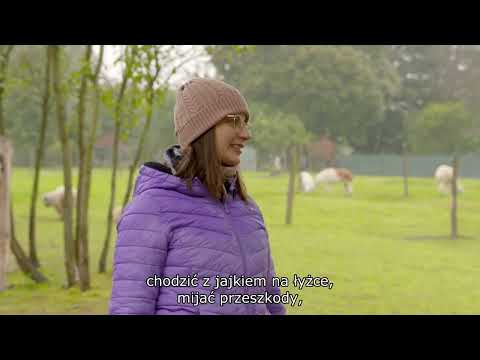 Działania terapeutyczne z udziałem zwierząt - Zagroda Edukacyjna Leśny Zakątek Angelika Paś