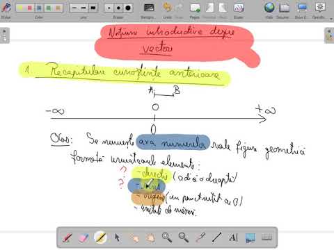 Notiunea de vector , vectori coliniari , vectori egali si opusi clasa IX ( www.supermeditatii.ro)