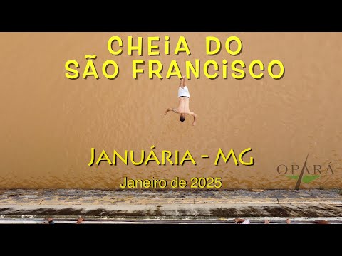 Flooding of the São Francisco River in 2025 - Januária MG