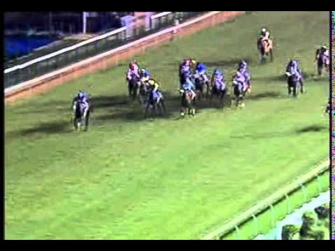 2013-06-14 Greyville - race 3