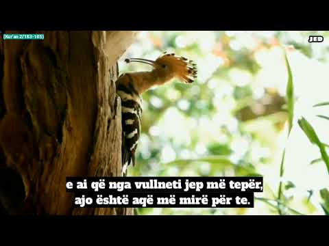 #Ajetet e #agjerimit!#Surja El-Bekare 183-185!#Allah na e prano #agjërimin e Ramazanit!❤